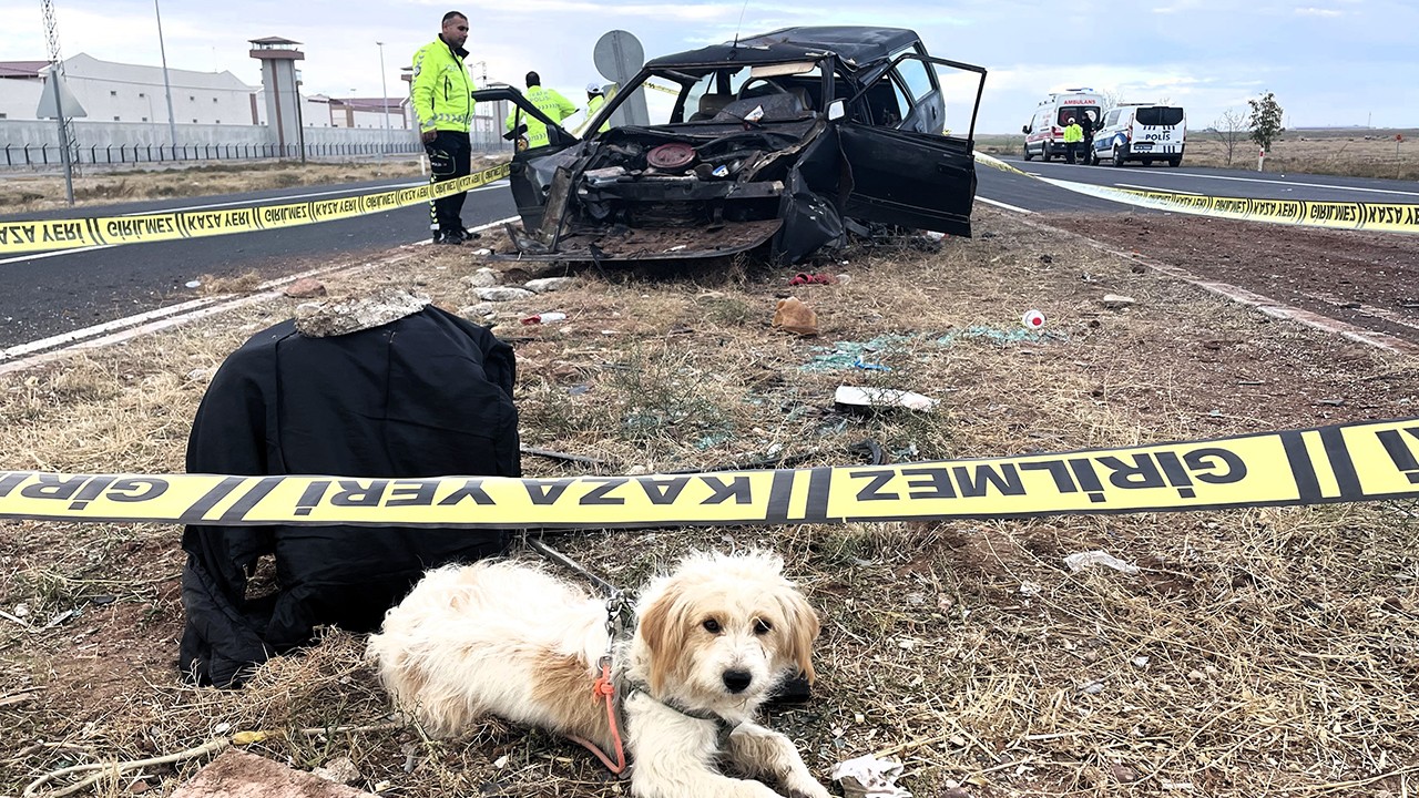 Konya-Aksaray kara yolunda kaza: Köpek olay yerinden ayrılamadı! 1 kişi öldü, 1 kişi yaralandı...