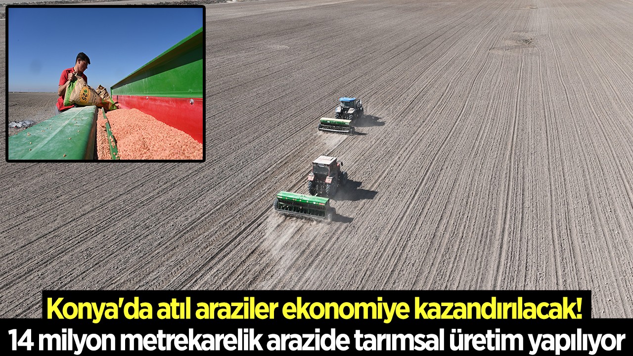 Konya'da atıl araziler ekonomiye kazandırılacak! 14 milyon metrekarelik arazide tarımsal üretim yapılıyor