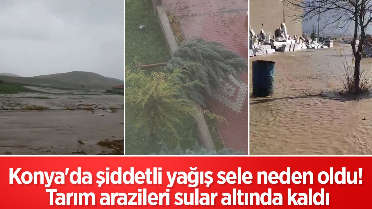 Konya'da şiddetli yağış sele neden oldu! Tarım arazileri sular altında kaldı