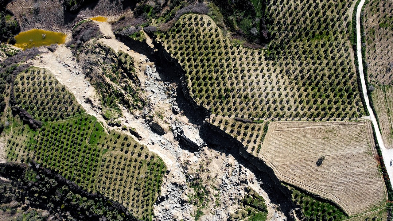 Hatay’da 400 metrelik yarık oluşan zeytinlik depremin simgelerinden oldu