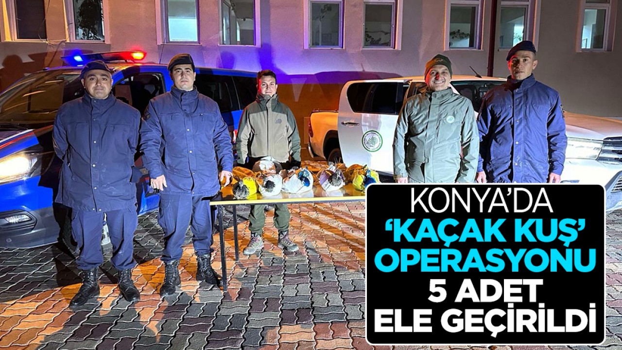 Konya’da ’kaçak kuş’ operasyonu: 5 adet ele geçirildi!