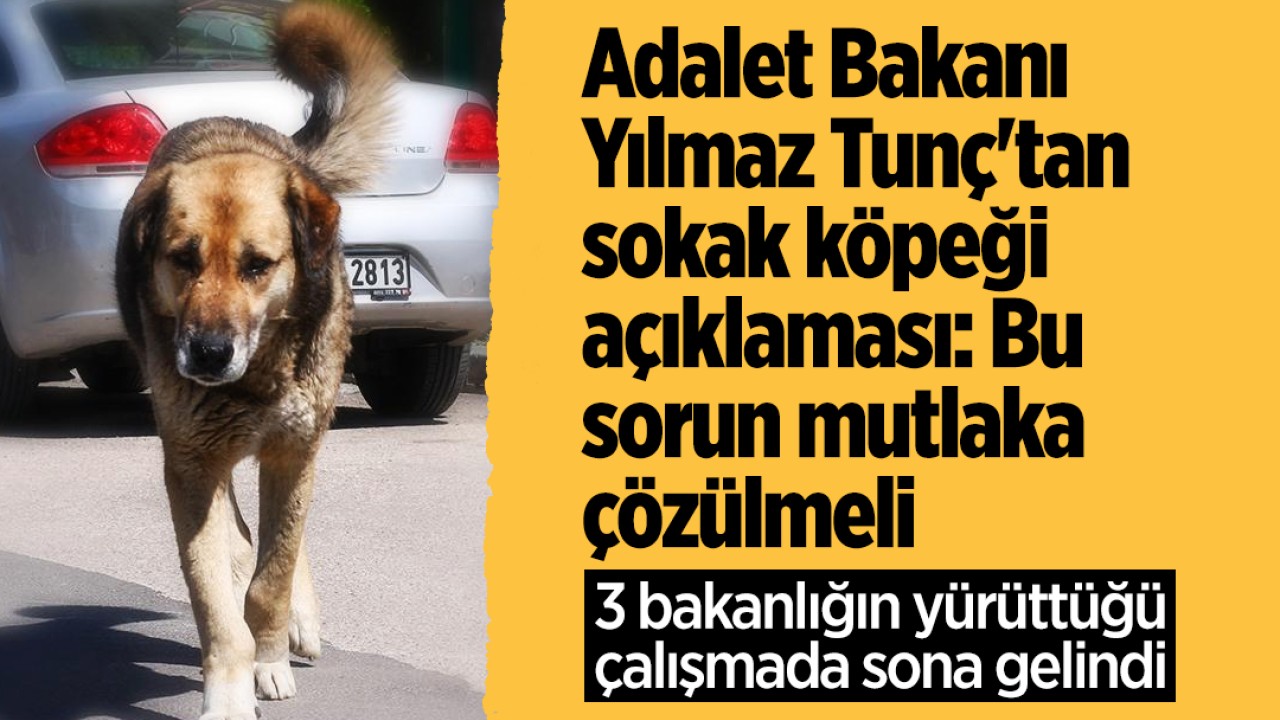Adalet Bakanı Yılmaz Tunç'tan sokak köpeği açıklaması: Bu sorun mutlaka çözülmeli