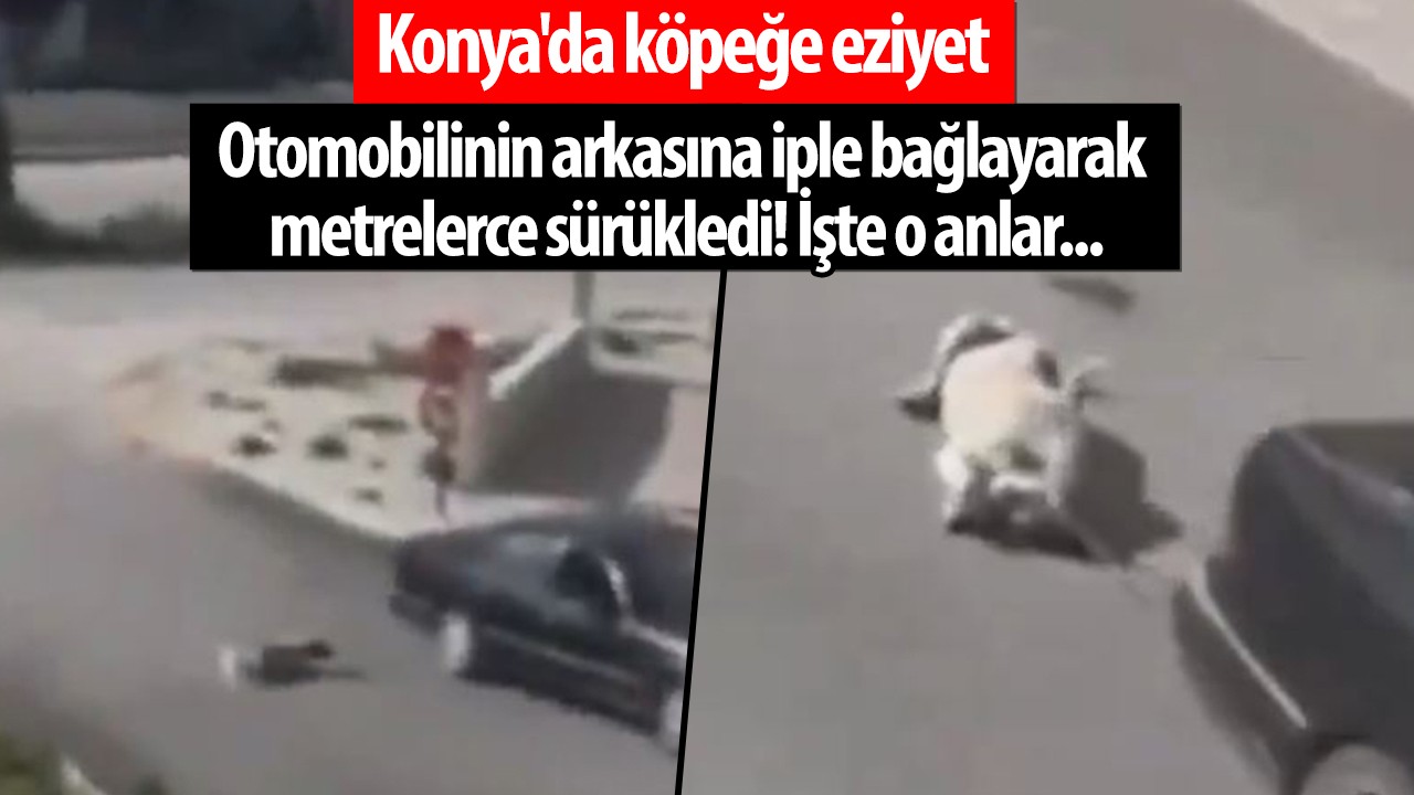 Konya'da köpeğe eziyet: Otomobilinin arkasına iple bağlayarak metrelerce sürükledi! İşte o anlar...