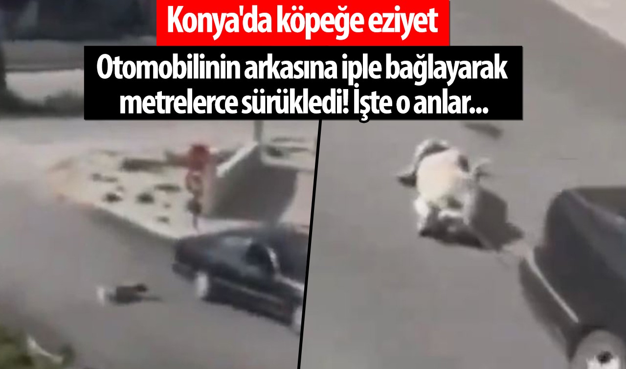 Konya'da köpeğe eziyet: Otomobilinin arkasına iple bağlayarak metrelerce sürükledi! İşte o anlar...