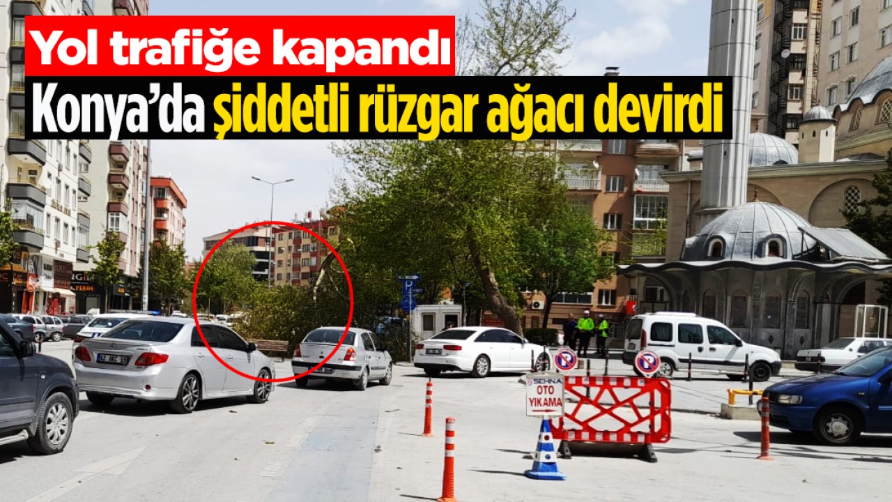 Konya’da şiddetli rüzgar ağacı devirdi, yol trafiğe kapandı