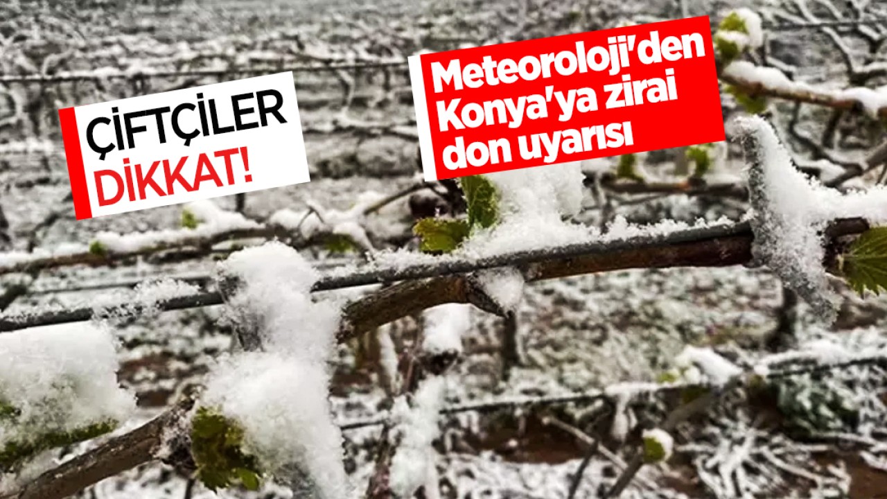 Çiftçiler dikkat! Meteoroloji'den Konya'ya zirai don uyarısı