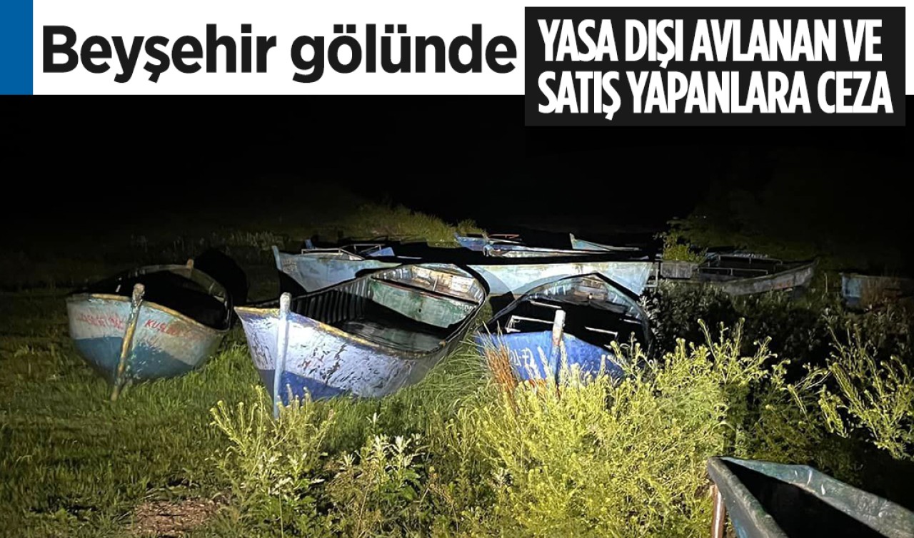 Beyşehir gölünde yasa dışı avlanan ve satış yapanlara ceza