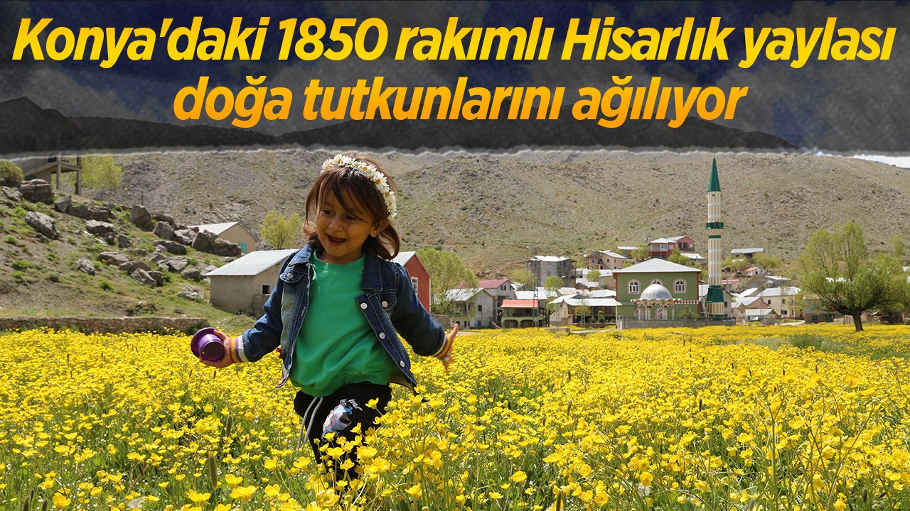 Konya’daki 1850 rakımlı Hisarlık yaylası doğa tutkunlarını ağılıyor