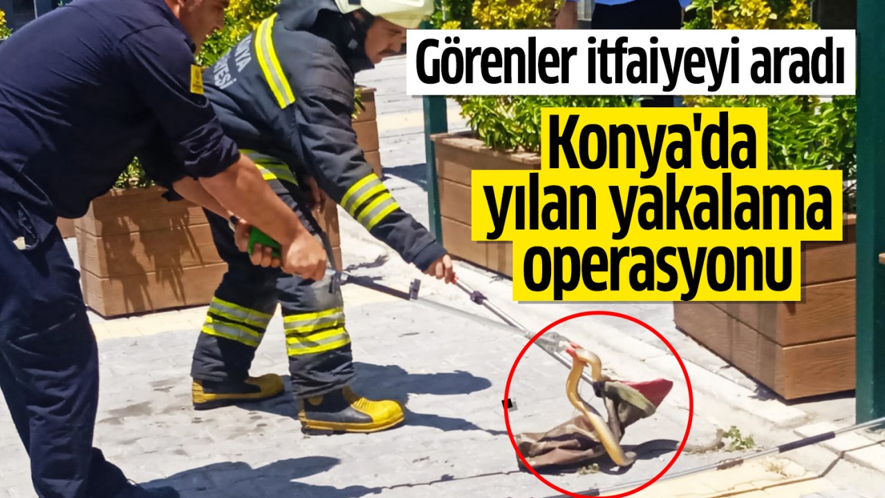 Görenler itfaiye ekiplerine haber verdi: Konya'da yılan yakalama operasyonu