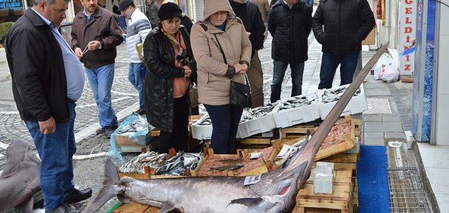 Marmara’da 2,5 metrelik kılıç balığı yakalandı