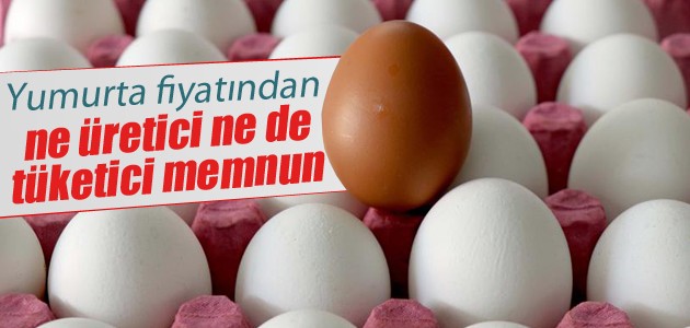 Yumurta fiyatından ne üretici ne de tüketici memnun