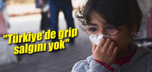 “Türkiye’de grip salgını yok“