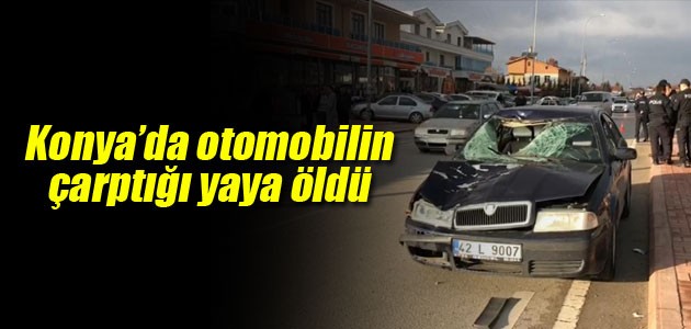 Konya’da otomobilin çarptığı yaya öldü