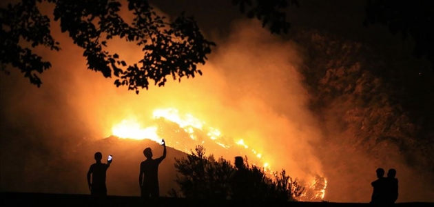 Adalet Bakanlığı orman yangınlarına ilişkin cezaları hatırlattı