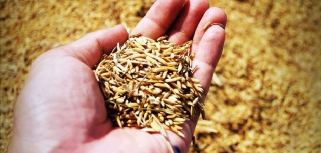 Sertifikalı tohum üretimi 18 yılda 8 kat arttı