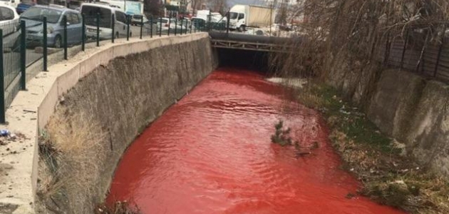 Ankara Çayı’nda korkutan görüntü: Kırmızıya boyandı