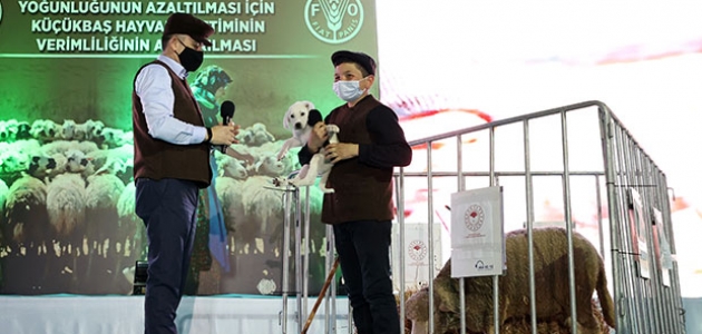 Bakan Pakdemirli, sosyal medyada ünlenen küçük çoban Şevki’ye köpek ve koyun hediye etti