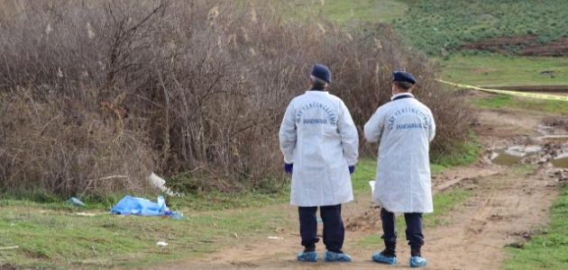 Hayvanlarını otlatırken boğanın saldırısına uğrayan kadın öldü