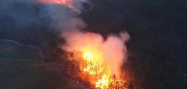  Muğla'daki orman yangınlarına 'sabotaj' soruşturması
