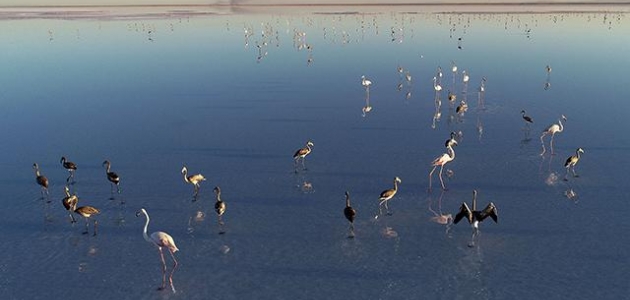 Tuz Gölü’nün doğallığı korunacak