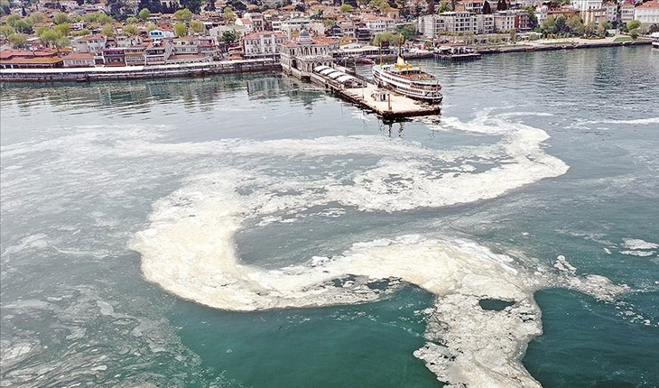 11 günde 4 bin 202 metreküp müsilaj temizlendi