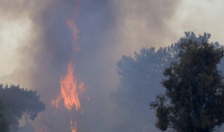AFAD'dan Manavgat'taki yangınla ilgili açıklama