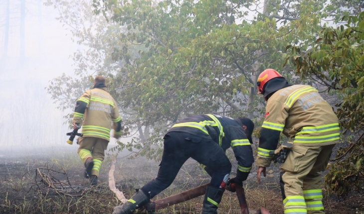 Jandarma 2 bin 310 personeliyle yangınla mücadele ediyor