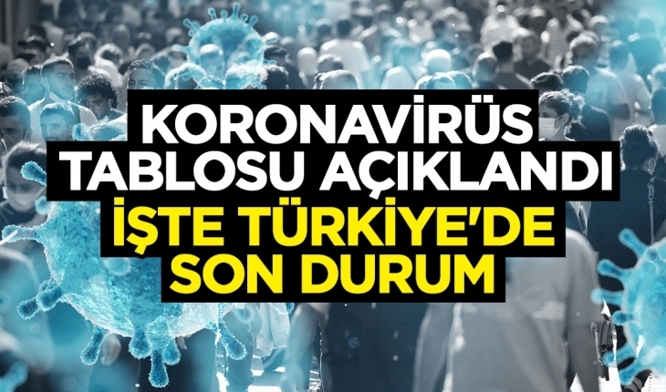 Koronavirüste son 24 saat