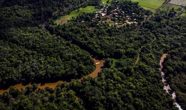UNESCO: Dünya’da 10 orman emilimini yaptığı karbondan daha fazlasını yayıyor
