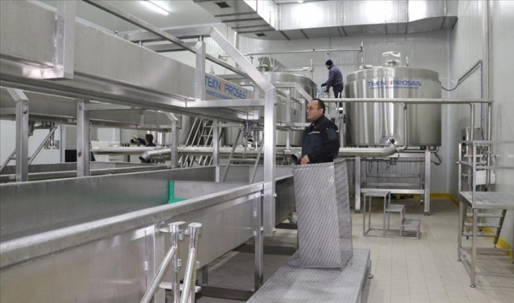 Et ve Süt Kurumu, ilk süt tesisini Yozgat’ta hizmete açıyor