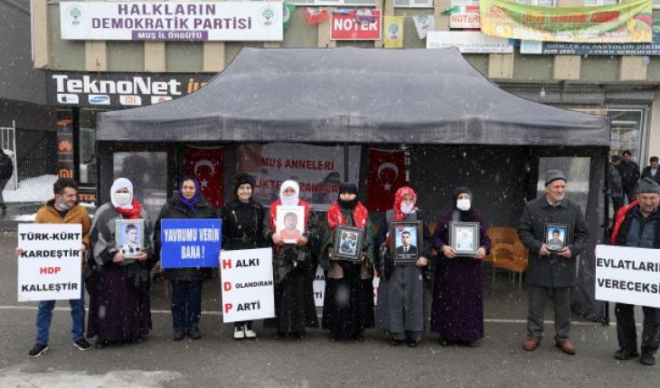 Muş’ta evlat nöbetindeki aile sayısı 29’a yükseldi