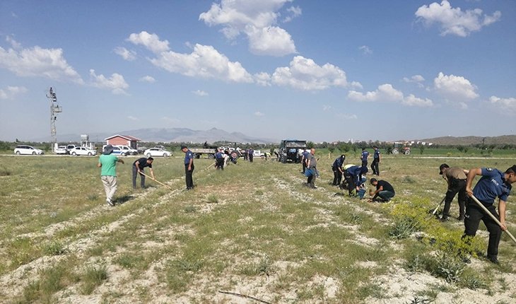 Polis 150 çam fidanını toprakla buluşturdu