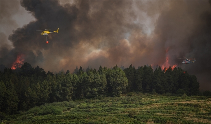Orman yangınlarında on binlerce hektar yeşil alan zarar gördü