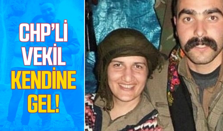 HDP’li Semra Güzel’in yakalanmasına CHP’li vekil üzüldü
