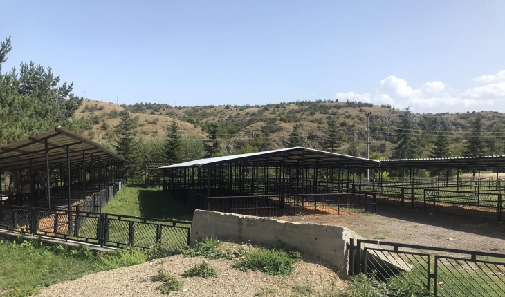 Kastamonu’da 16 köyde şap ve şarbon hastalığı karantinası