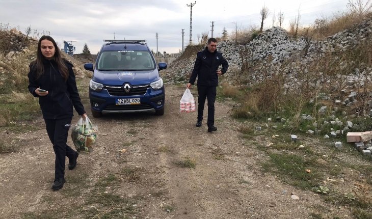 Akşehir’de zabıta denetimleri sürüyor