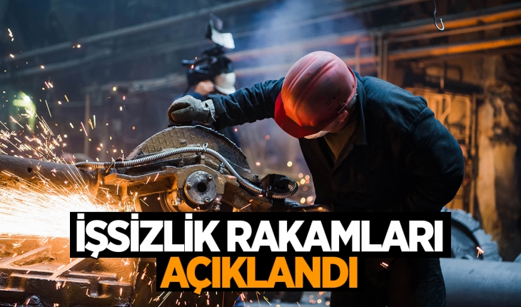 Türkiye’de işsizlik oranı açıklandı