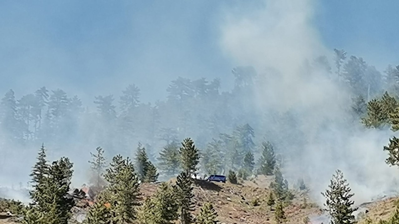 Konya’da orman yangını! 1 hektar alan yandı