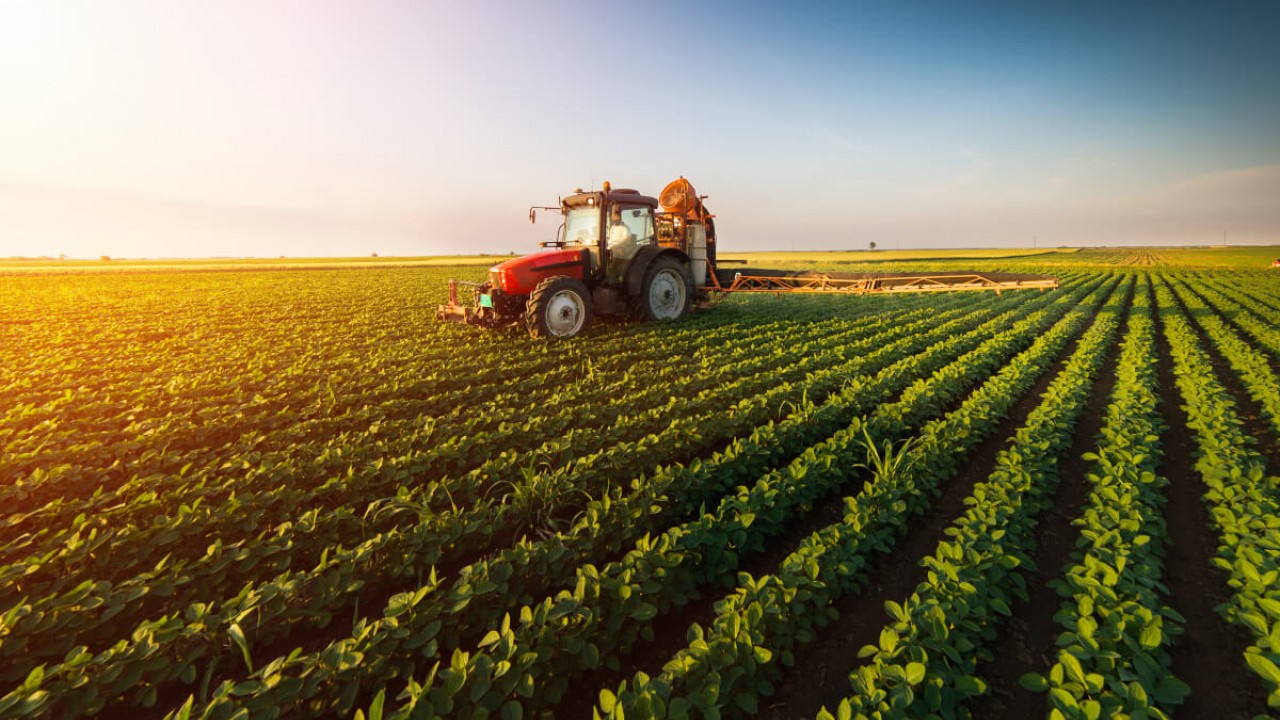 Tarım sektörü rekor ihracata imza attı