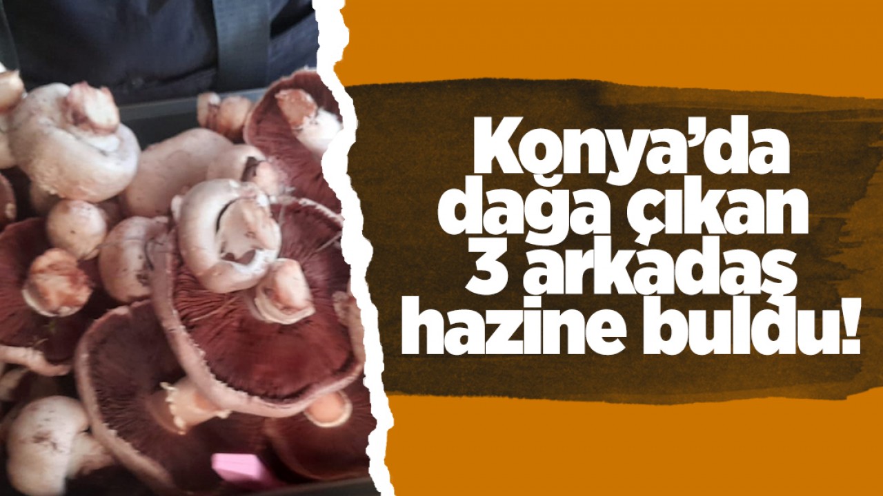 Konya’da dağa çıkan 3 arkadaş hazine buldu!