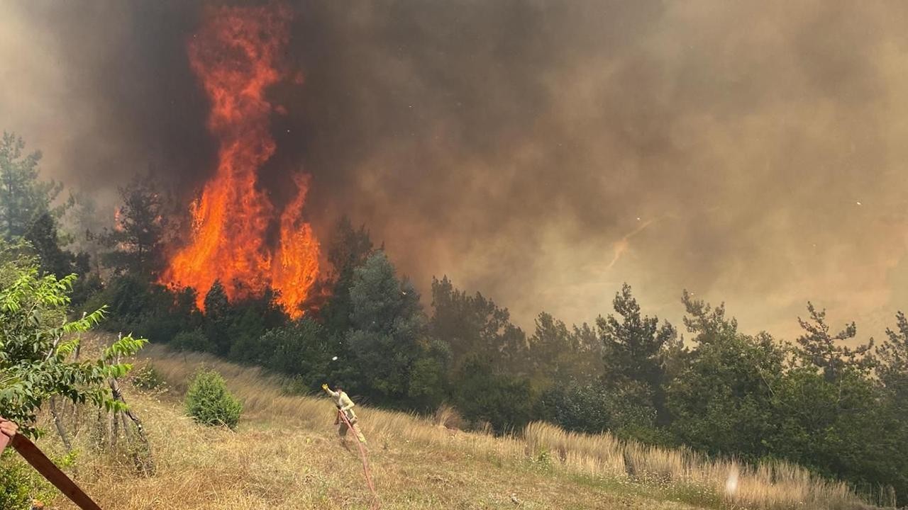 Türkiye’de son 10 günde 203 orman yangını çıktı