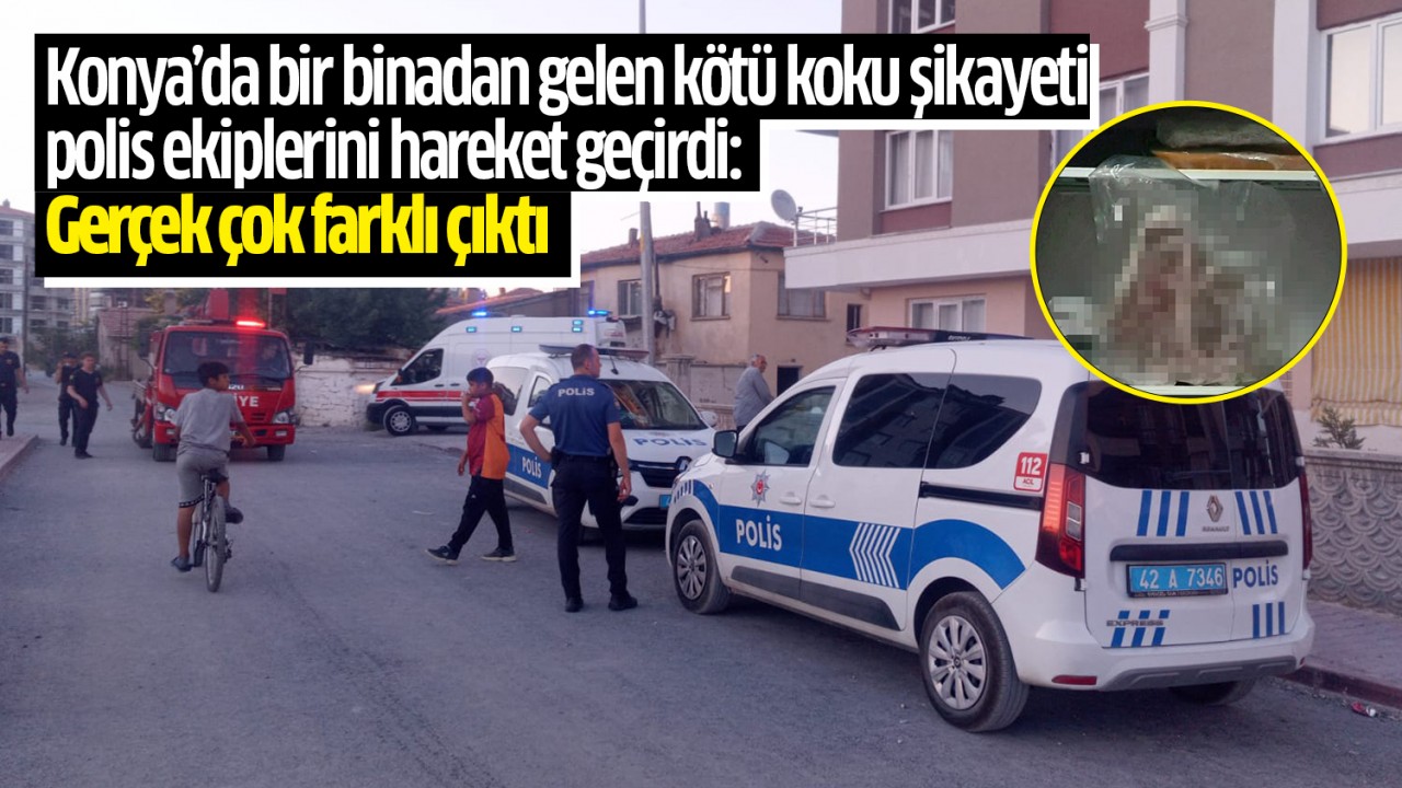 Konya'da bir binadan gelen kötü koku polis ekiplerini harekete geçirdi: Gerçek çok farklı çıktı