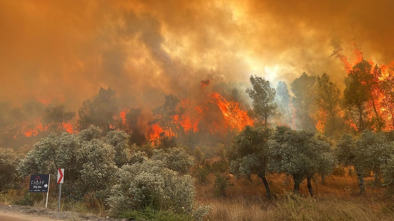 Orman yangınlarıyla mücadelede “yapay zeka“ desteği artıyor