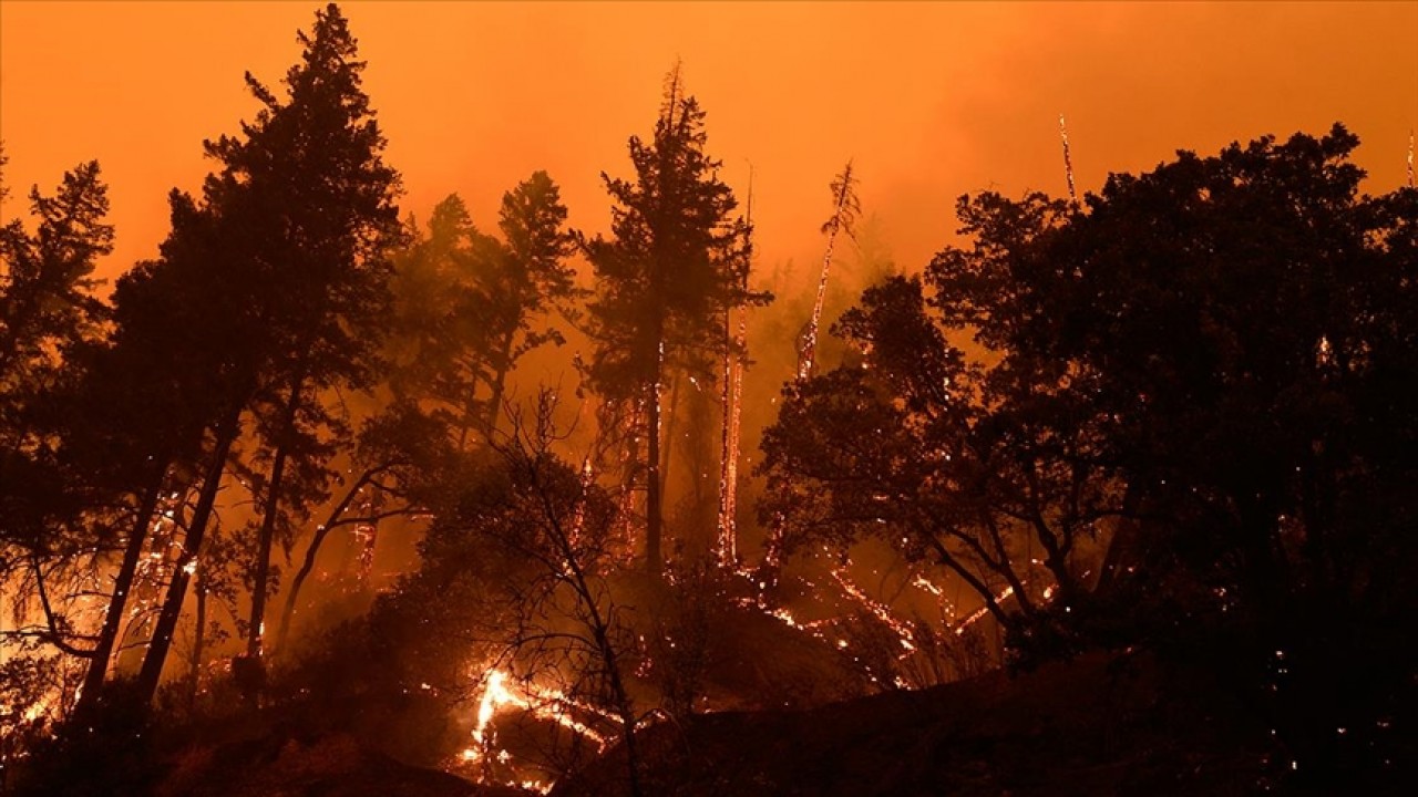 800’e yakın orman yangını halen kontrol altına alınamadı