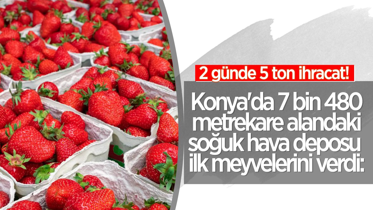 Konya'da 7 bin 480 metrekare alandaki soğuk hava deposu ilk meyvelerini verdi: 2 günde 5 ton ihracat yapıldı!