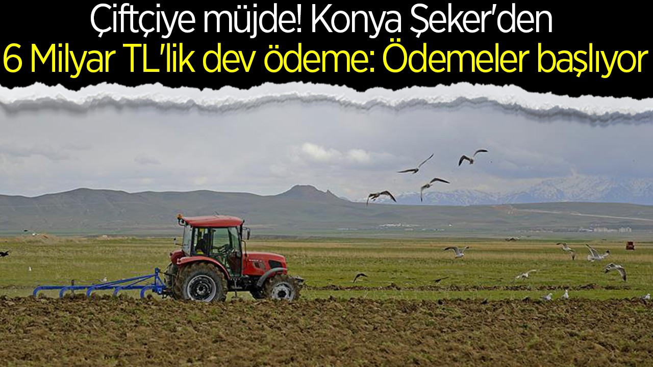 Çiftçiye müjde! Konya Şeker'den 6 Milyar TL'lik dev ödeme: Ödemeler başlıyor
