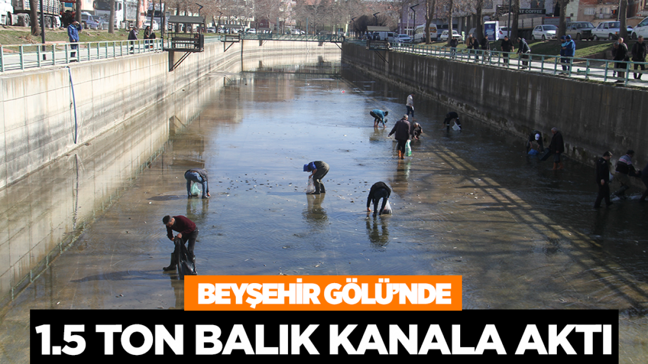 Beyşehir Gölü'nde 1.5 ton balık kanala aktı!