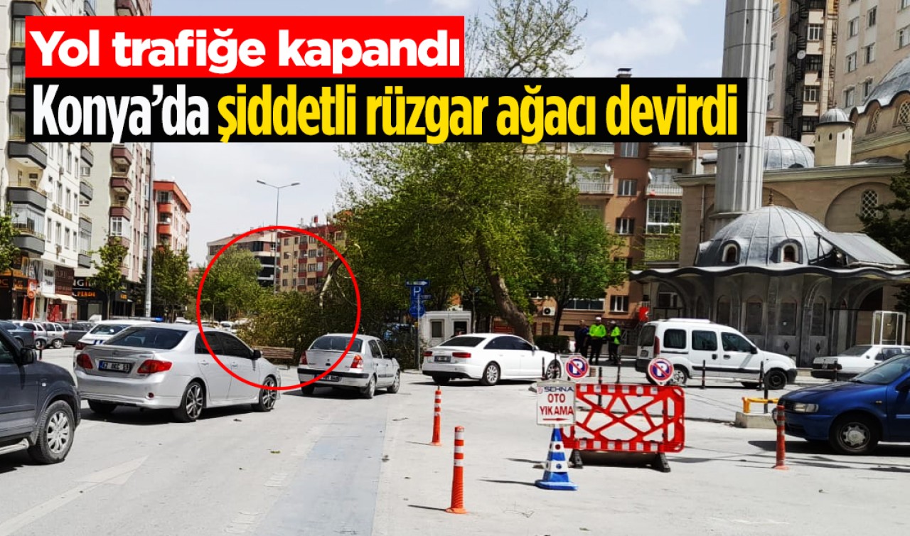 Konya’da şiddetli rüzgar ağacı devirdi, yol trafiğe kapandı