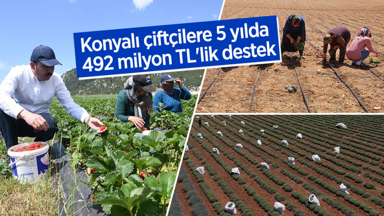  Konyalı çiftçilere 5 yılda 492 milyon TL'lik destek