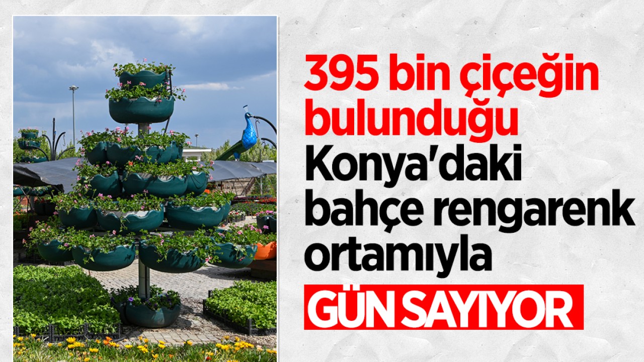 395 bin çiçeğin bulunduğu Konya'daki bahçe rengarenk ortamıyla gün sayıyor